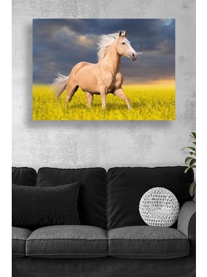 KOSS Dijital Sarı Çiçek Tarlasında Koşan At Manzaralı Doğa Temalı Canlı Renkli Kanvas Tablo Dekoru