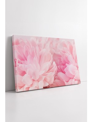 KOSS Dijital Pembe Çiçek Yakın Plan Soft Tonlarda Zarif Modern Dekoratif Duvar Çiçeği Temalı Kanvas Tablo