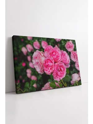 KOSS Dijital Pembe Gül Bahçesi Çiçek Desenli Doğal Tonlarda Zarif ve Modern Dekoratif Kanvas Duvar Tablosu