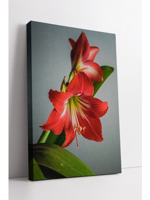 KOSS Dijital Kırmızı Zambak Çiçeği Temalı Şık Duvar Dekoru Canlı Renkli Modern Ev ve Ofis Için Kanvas Tablo