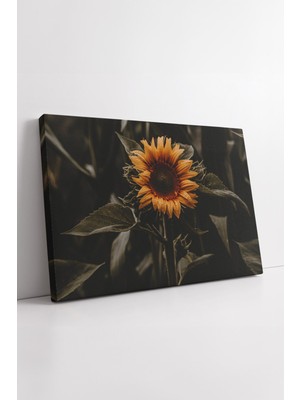 KOSS Dijital Tek Ayçiçeği Karanlık Arka Plan Doğa Fotoğrafı Kanvas Tablo Rustik Tonlarda Sade Estetik Tasarım