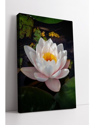 KOSS Dijital Beyaz Nilüfer Çiçeği Temalı Su Yüzeyinde Zarif Doğal Görünümlü Dekoratif Kanvas Tablo