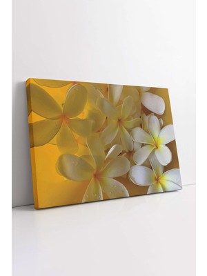 KOSS Dijital Hint Mabet Ağacı Beyaz Plumeria Çiçeği Dekoratif Yatay Kanvas Tablo, Ev Ofis Antre Salon Için Dekor