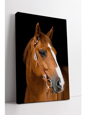 KOSS Dijital Kahverengi At Portresi Kanvas Tablo Asalet ve Doğal Zarafeti Yansıtan Modern Duvar Dekoru