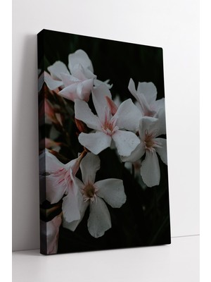 KOSS Dijital Beyaz Çiçekler Temalı Modern Duvar Dekoru Doğal Ev ve Salon Için Zarif Kanvas Tablo Tasarımı