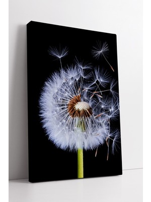 KOSS Dijital Siyah Fon Üzerinde Uçuşan Karahindiba Tohumları Minimal Makro Doğa Temalı Modern Kanvas Tablo