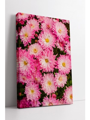 KOSS Dijital Pembe Kasımpatı Desenli Estetik Çiçek Temalı Modern Dekor Kanvas Tablo Duvar Sanatı