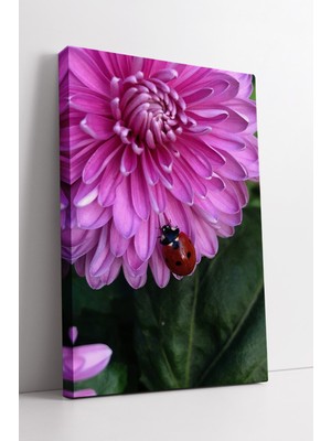 KOSS Dijital Pembe Çiçek Üzerinde Uğur Böceği Detaylı Doğal Görünümlü Zarif Çiçek Temalı Kanvas Tablo