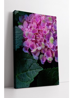 KOSS Dijital Pembe Ortanca Çiçekleri ve Yeşil Yaprak Detaylı Doğal Bitki Kompozisyonlu Dekoratif Kanvas Tablo