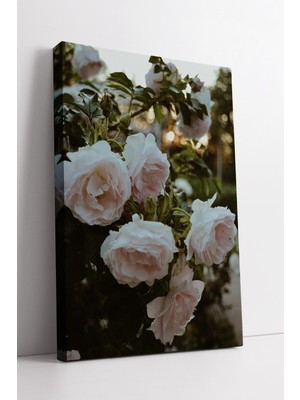 KOSS Dijital Pastel Tonlarda Pembe Gül Çiçeği Bahçe Manzaralı Dekoratif Modern Kanvas Duvar Tablosu