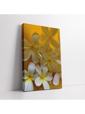 KOSS Dijital Beyaz Eşsiz Çiçekler Kanvas Tablo