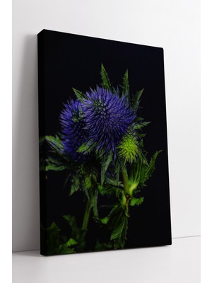 KOSS Dijital Mor Mavi Devedikeni Çiçeği Detaylı Modern Botanik Sanat Tarzında Doğal Dekoratif Kanvas Tablo