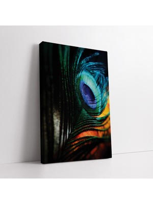 KOSS Dijital Eşsiz Tavuskuşu Tüyü Kanvas Tablo