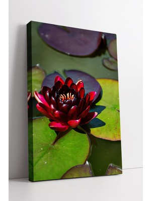 KOSS Dijital Kırmızı Nilüfer Çiçeği ve Yeşil Yaprak Detaylı Sakin Göl Manzaralı Modern Kanvas Tablo