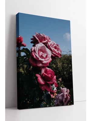 KOSS Dijital Pembe Gül Bahçesi Estetik Çiçek Dokusu Doğal Tonlarda Zarif ve Dekoratif Kanvas Duvar Tablosu