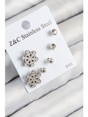 Bsre Kar Tanesi Figürlü Gümüş Renk Kadın Set Küpe (316L Çelik)