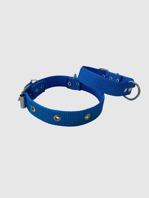 Küçük Boy Yavru Köpekler Için Tasma Mavi 40"