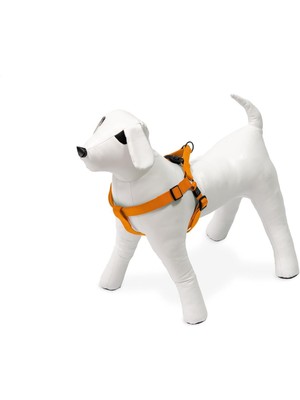 Kilitli Göğüs Tasma, Köpek, S, 25-45 Cm, Turuncu