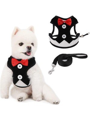 Joyzzz Köpek Koşum ve Kurşun, Sevimli Köpek Koşum Tasma Seti, Küçük Siyah Tasma Seti, Küçük Orta Yav