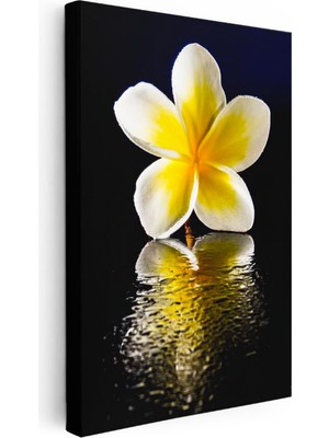 Tablofest Dikey Kanvas Tablo Sarı Beyaz Plumeria Yansıma Çiçek Tablosu Ev Ofis Duvar Dekoru