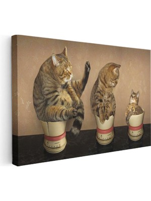 Tablofest Yatay Kanvas Tablo Terazi Üzerinde Üç Kedi Kedi Tablosu Ev Ofis Duvar Dekoru
