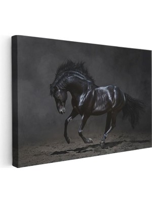 Tablofest Yatay Kanvas Tablo Kaslı Siyah Aygır At Tablosu Ev Ofis Duvar Dekoru