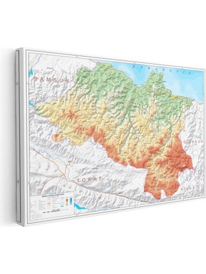 Tablofest Yatay Kanvas Tablo Ordu Doğal Oluşum Harita Tablosu Ev Ofis Duvar Dekoru