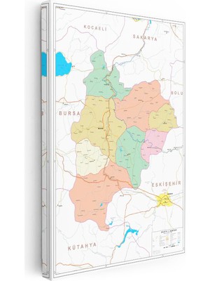 Tablofest Dikey Kanvas Tablo Bilecik Renkli Bölge Yerleşimi Harita Tablosu Ev Ofis Duvar Dekoru