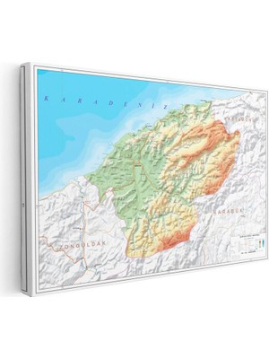 Tablofest Yatay Kanvas Tablo Bartın Topografik Harita Tablosu Ev Ofis Duvar Dekoru