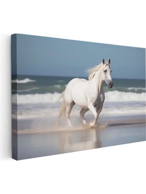 Tablofest Yatay Kanvas Tablo Kumsal Kenarı Koşan Beyaz At Tablosu Ev Ofis Duvar Dekoru