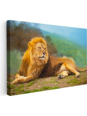 Tablofest Yatay Kanvas Tablo Yeşil Çimen Zemin Aslan Portresi Aslan Tablosu Ev Ofis Duvar Dekoru