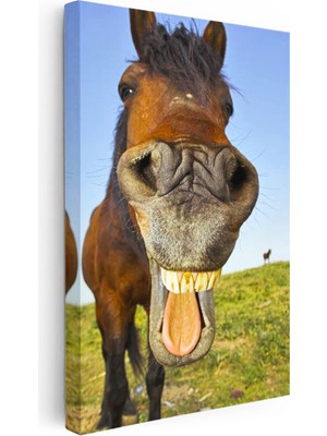 Tablofest Dikey Kanvas Tablo Balık Gözü Efektli At Tablosu Ev Ofis Duvar Dekoru