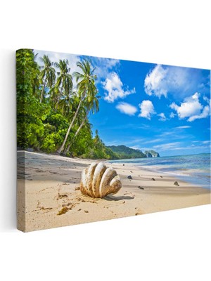 Tablofest Yatay Kanvas Tablo Kumsalda Büyük Deniz Kabuğu Manzara Tablosu Ev Ofis Duvar Dekoru