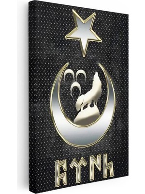 Tablofest Dikey Kanvas Tablo Bozkurt Hilal ve Göktürkçe Türk Yazısı Osmanlı Tablosu Ev Ofis Duvar Dekoru