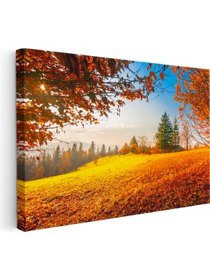 Tablofest Yatay Kanvas Tablo Güneş Işığı ve Sonbahar Tepesi Manzara Tablosu Ev Ofis Duvar Dekoru