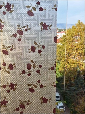 Başak Ev Tekstili Cam Filmi Kaplama Statik Folyo Buzlu Desenli Duşa Kabin Pencere Ofis Dekorasyon