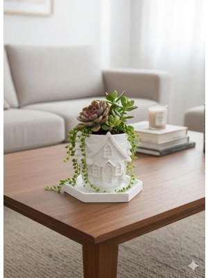 Taş Tozu Saksı Seti Hediyelik Çiçeklik