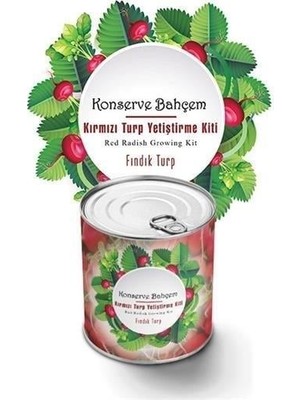 Çarşı Point Buffer® Konserve Bahçem Evde Konservede Fındık Turp Yetiştirme Kiti