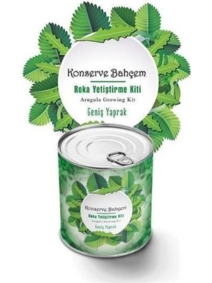 Çarşı Point Buffer® Konserve Bahçem Evde Konservede Iri Yapraklı Roka Yetiştirme Kiti