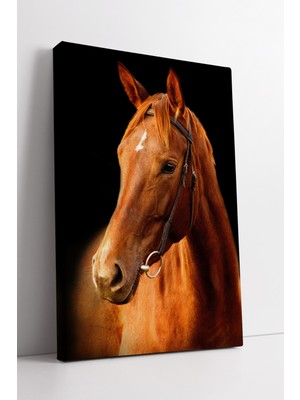 KOSS Dijital Kızıl At Portresi Kanvas Tablo Doğanın Gücünü ve Zarafetini Yansıtan Sanatsal Duvar Dekoru