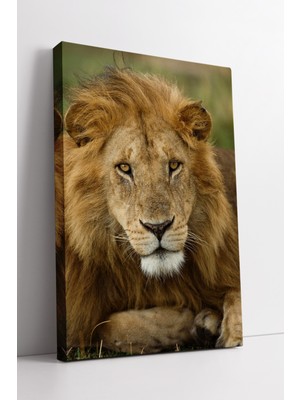 KOSS Dijital Dinlenen Aslan Kanvas Tablo Gücün Sessiz Haliyle Doğal Şıklığı Birleştiren Dekoratif Sanat Eseri