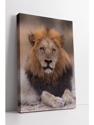 KOSS Dijital Aslan Portre Kanvas Tablo Gücü ve Huzuru Buluşturan Modern Doğa Temalı Dekoratif Duvar Sanatı