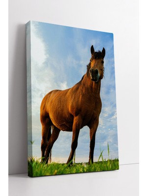 KOSS Dijital Doğada Kahverengi At Kanvas Tablo Doğal Güzelliğiyle Yaşam Alanlarına Sıcaklık Katan Duvar Sanatı