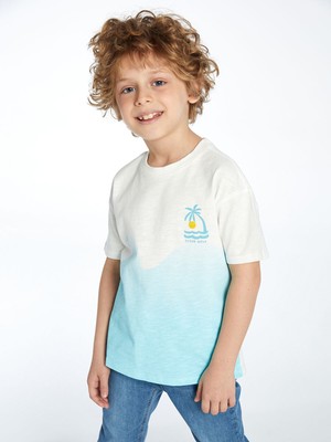 Lc Waikiki Yeni Sezon Bisiklet Yaka Renk Bloklu Penye Erkek Bebek Tişört