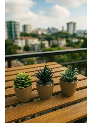 “3’lü Yapay Saksılı Sukulent – Ev & Ofis Dekoratif Çiçek”