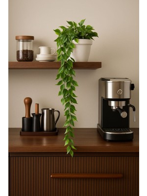 “saksılı Yapay Sarmaşık Yaprak – 80 cm Dekoratif Çiçek”