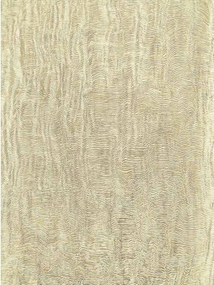 Camelıa Italyan Duvar Kağıdı 2150 (7m2)