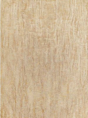 Zambaiti Parati Camelia Italyan Ithal Duvar Kağıdı 2153 (7m2)