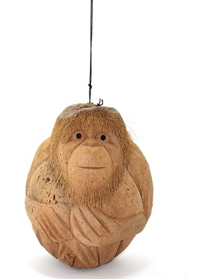 Store Mania Coconat Maymun Büstü Model 1  STRMIA-RSTTT34