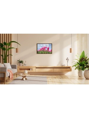 Pembe Lalelerin Bahar Işıltısı